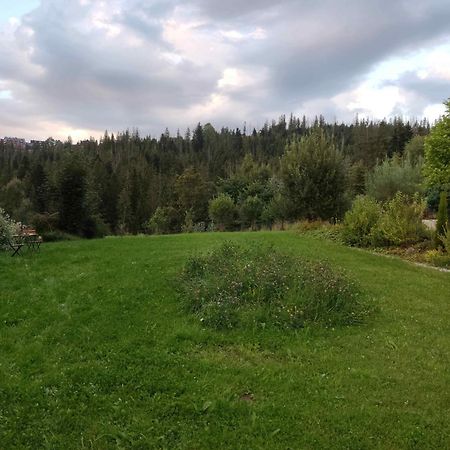 فندق Prymulka زاكوباني المظهر الخارجي الصورة