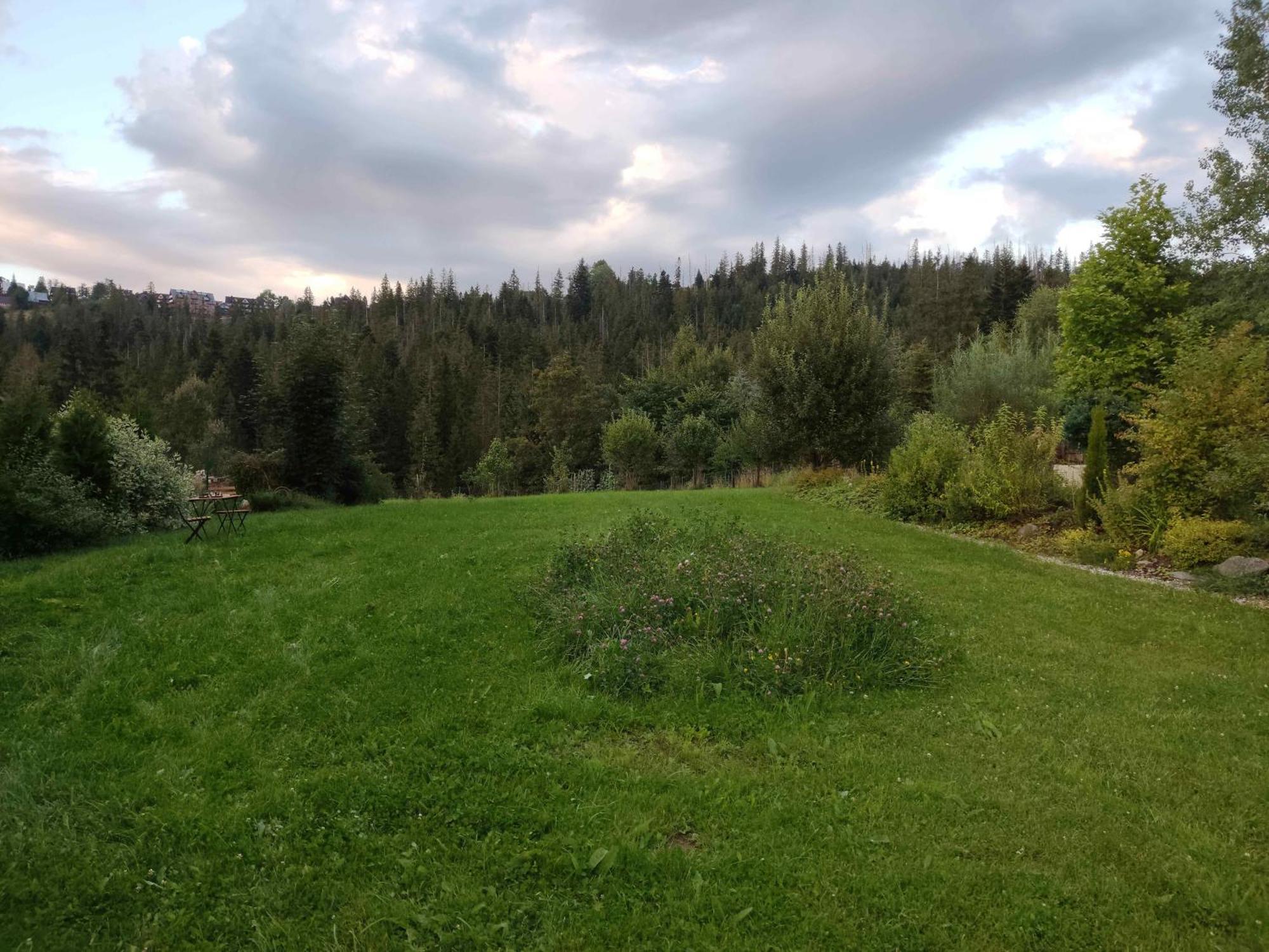 فندق Prymulka زاكوباني المظهر الخارجي الصورة